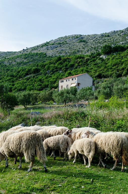 Olive Garden Apartments Чилипи Экстерьер фото